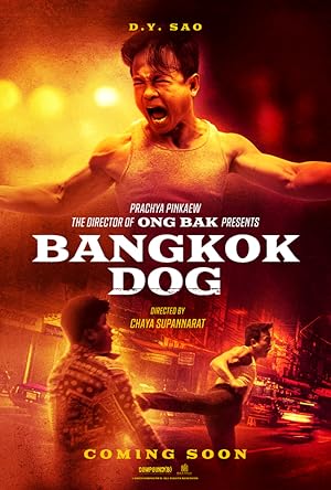Bangkok Dog VJ JUNIOR 2026