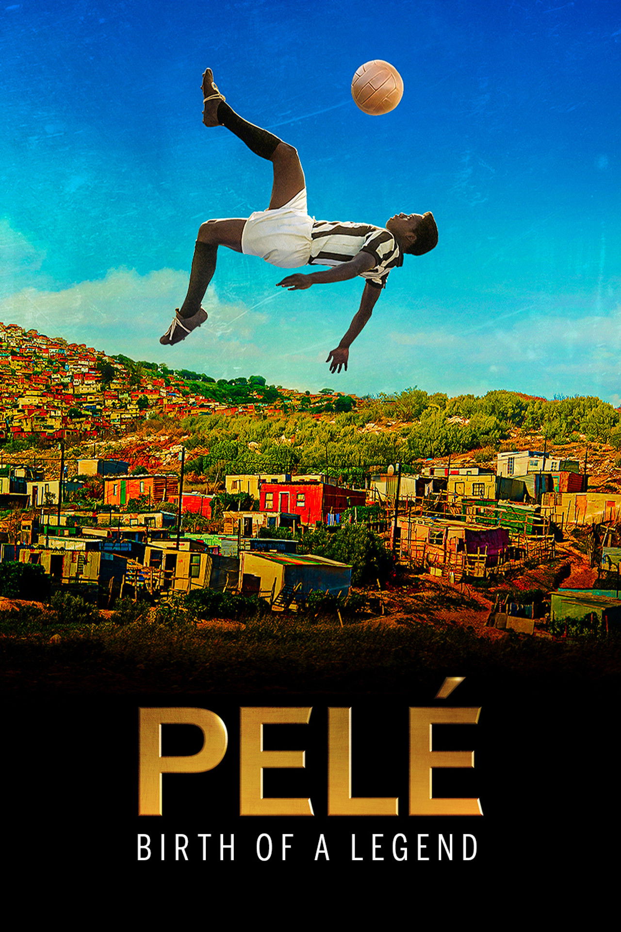 Pele VJ JUNIOR